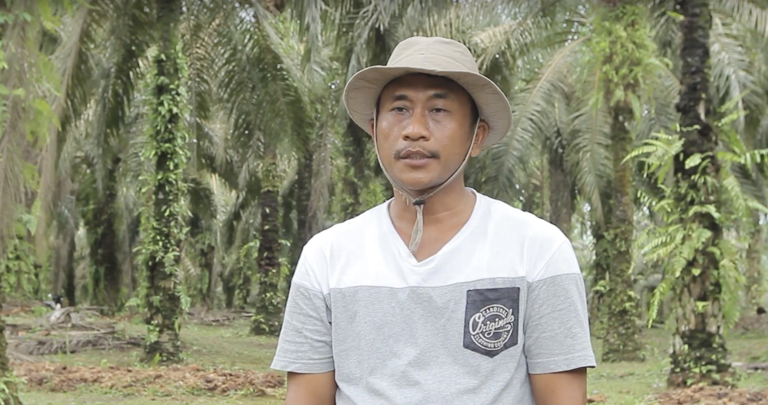 When an oil palm farmer finds a better way